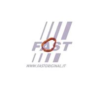 FAST FT50702 Guarnizione, Pompa depressione per CITROËN,PEUGEOT
