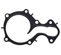 Guarnizione, pompa acqua