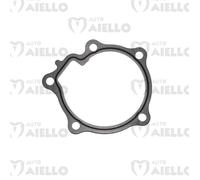 Guarnizione pompa acqua Aixam kubota z402 z482 z602