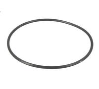 Guarnizione pompa acqua DT SPARE PARTS 2.15900