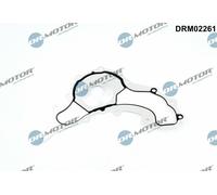 Guarnizione, Pompa acqua per CHRYSLER DODGE FIAT JEEP LANCIA RAM VW 1500 200 300