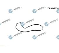 Guarnizione, Pompa acqua Pompa acqua per BMW 1 2 3 4 5 6 7 X3 X4