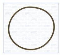 Guarnizione, pompa del vuoto AJUSA 16075800