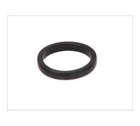 Guarnizione, pompa dell'acqua DT Spare Parts 2.11082