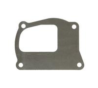 Guarnizione, pompa dell'acqua ENGITECH ENT010920