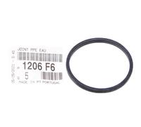 Guarnizione Pompa Dell'Acqua Per Citroën Xsara Picasso 1.8 16V 2000-2005 1206F6