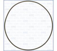 Guarnizione, pompa dell'olio AJUSA 16058900