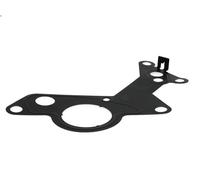 Guarnizione, Pompa depressione ELRING 876.661 per AUDI A3 (8P1) 2 2005-2008