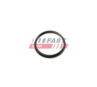 Guarnizione pompa a vuoto FT49853 FAST per FORD TRANSIT Autobus RANGER