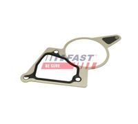 Guarnizione Pompa Depressione Fast FT50703 per Citroën Fiat VW