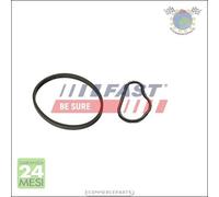 Guarnizione Pompa depressione Fast per AUDI TT A3 BMW Z4 E89 sDrive 7 E23 732 C