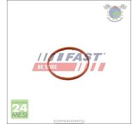 Guarnizione Pompa depressione Fast per CITROEN SPACETOURER C-CROSSER JUMPER II