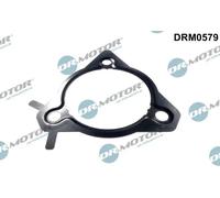 Guarnizione pompa iniezione DRM0579 Dr.Motor Automotive per FORD FOCUS I C-MAX