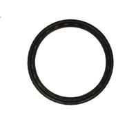 Guarnizione pompa olio ELRING 359.190 per BMW 5 (E60) 4 2005-2007