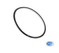GUARNIZIONE PORTA ASCIUGATRICE ELECTROLUX ORIGINALE 1251085021