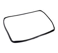 Guarnizione Porta Forno Indesit C00111687