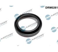Guarnizione, Portapolverizzatore Iniettore per MAZDA 6 MPV