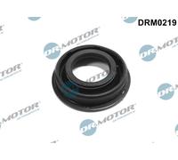 Guarnizione, Portapolverizzatore per AUDI MAN SEAT SKODA VW A1 A3 ALTEA ALTEA XL