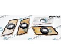 Guarnizione, Portapolverizzatore per AUDI SEAT SKODA VW A3 A4 A4 Allroad A5 A6 A