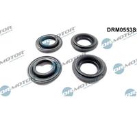 Guarnizione, Portapolverizzatore per NISSAN PRIMERA