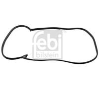 Guarnizione della portiera FEBI BILSTEIN 08875