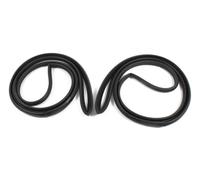 Guarnizione Portiera Set Gomma Sinistra Destra Frontale Oldsmobile Delta 88