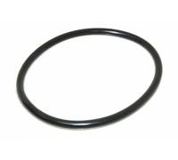 Guarnizione pozzetto Lavastoviglie REX ELECTROLUX AEG ZANUSSI 8996461217706