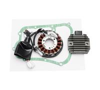 Guarnizione raddrizzatore regolatore statore a 18 poli adatta for X-Max 250 X-City 250 07-16 Ricambi for motociclette