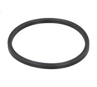 Guarnizione, radiatore dell'aria di sovralimentazione ELRING per A5 3 2011-2017