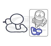 Guarnizione radiatore olio 76705 3RG