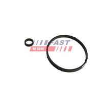 Guarnizione, Radiatore olio Blocco motore per CITROËN PEUGEOT 106 206 206 Van 30