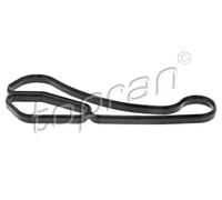 Guarnizione radiatore olio Carter filtro olio ACM (Poliacrilico- Caucciù) TOPRAN