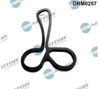 DR.MOTOR AUTOMOTIVE Guarnizione, Radiatore olio