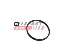 Guarnizione radiatore olio Carter filtro olio FT48952 FAST per PEUGEOT CITROËN