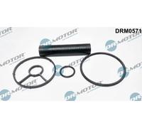 Dr.Motore Automotive DRM0571 Guarnizione Radiatore Olio per Ford Peugeot Fiat