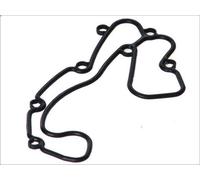 Guarnizione, radiatore olio DT SPARE PARTS 4.20507 per AXOR 6.374 2002-2004
