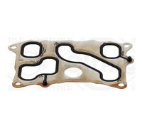 ELRING Guarnizione radiatore olio EL534953 per Mercedes-Benz