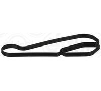 Guarnizione radiatore olio HNBR (Nitrile-Butadiene-Caucciù acrilico idratato)