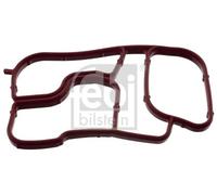 Guarnizione radiatore olio HNBR (Nitrile-Butadiene-Caucciù acrilico idratato)