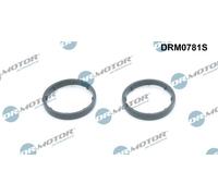 Guarnizione, Radiatore olio per VOLVO 850 C30 C70 S40 S60 S70 S80 V40 V50 V60 V7