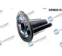 Guarnizione, Radiatore olio Superiore per AUDI SEAT SKODA VW A3 A4 A6 A8 ALHAMBR