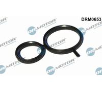 Guarnizione, regolazione albero a camme per BMW 1 3 5 X1 X3 Z4