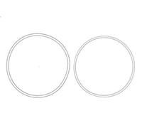 Guarnizione, scatola del cambio manuale OE CNH 5162252