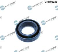 Guarnizione sede candela DRM02236 Dr.Motor Automotive per TOYOTA LOTUS LEXUS
