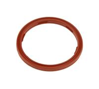 Guarnizione Sensore Livello Olio Per BMW 3 E36 5 E39 3 E46 X5 E53