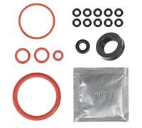 Guarnizione Set O-Ring Anelli Del Pistone Labbro per Saeco Miele