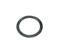 Guarnizione Setaccio Filtrante 55mmø Compatibile Con AEG 126061601/4 per