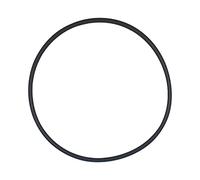 Guarnizione tappo filtro sabbia guarnizione coperchio prefiltro piscina anello o-ring oring pompa 170 230mm