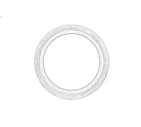 Guarnizione, tendicatena di distribuzione OE PEUGEOT 9824831680