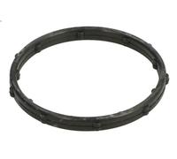 Guarnizione, termostato ELRING 568.960 per VW ROUTAN 3.6 2011-2013